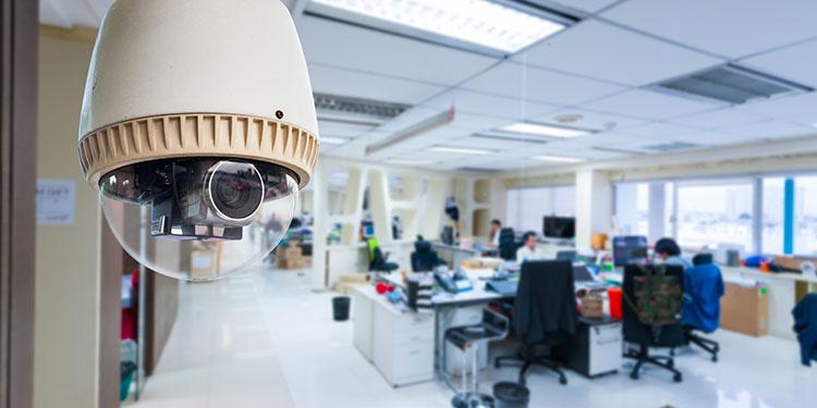 Immagine dell'articolo: <span>Le problematiche scaturenti dall’utilizzo degli appalti di servizi fiduciari ed esigenze di sicurezza degli immobili</span>
