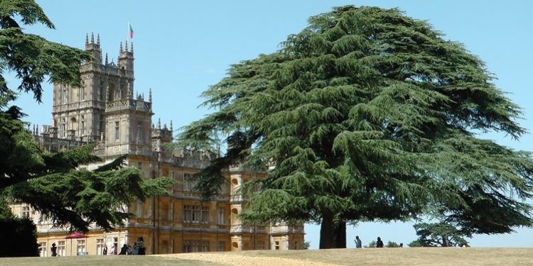 Immagine dell'articolo: <span>Downton Abbey</span>
