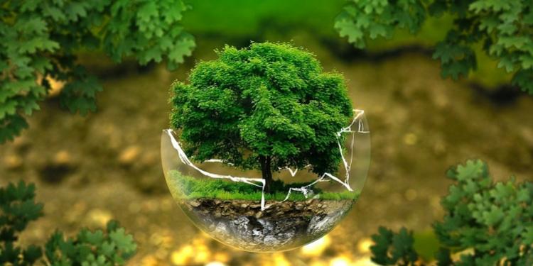 Immagine dell'articolo: <span>La transizione ecologico-energetica: business sostenibili e investitori attivi</span>
