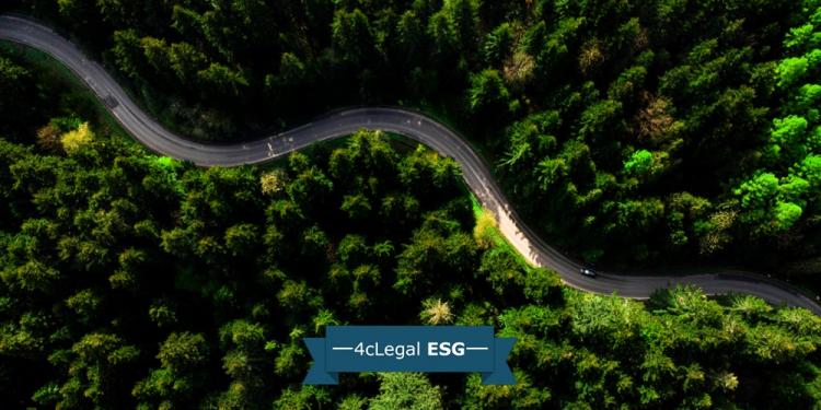 Immagine dell'articolo: <span>Il Legal & Sustainable Procurement di Iveco Group</span>
